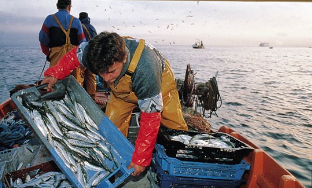  INEI ejecutará el primer censo nacional de pesca continental desde el 1 de agosto