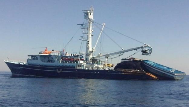 Alertan de alto nivel de mercurio en peces del Pacífico