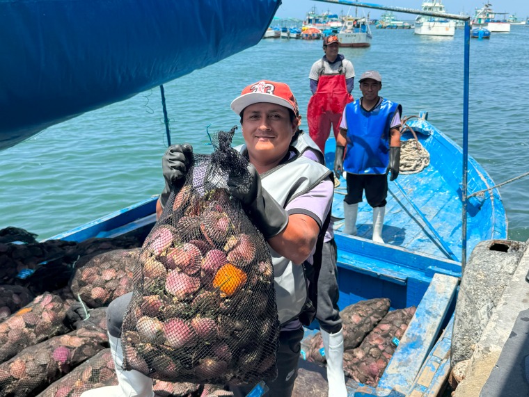 Otorgan más de S/ 32,8 millones en créditos para reactivar la maricultura en regiones del norte