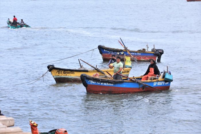 Capacitan a más de 3280 pescadores artesanales para que accedan al carné de formalización