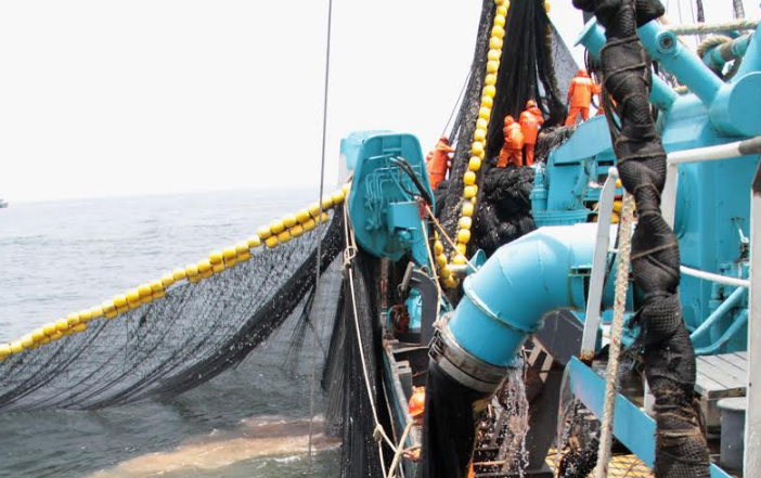 Produce autoriza  pesca exploratoria de anchoveta a partir del 18 de junio