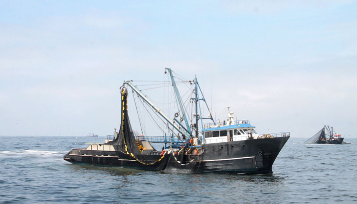 Produce suspendió la pesca exploratoria de caballa entre Malabrigo y Casma