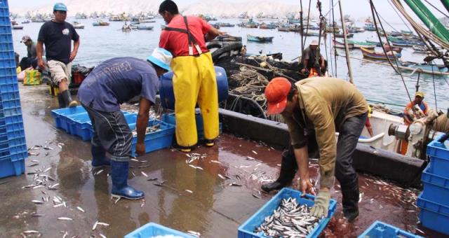  Puerto de Chimbote ocupa primer lugar en captura de especies marinas
