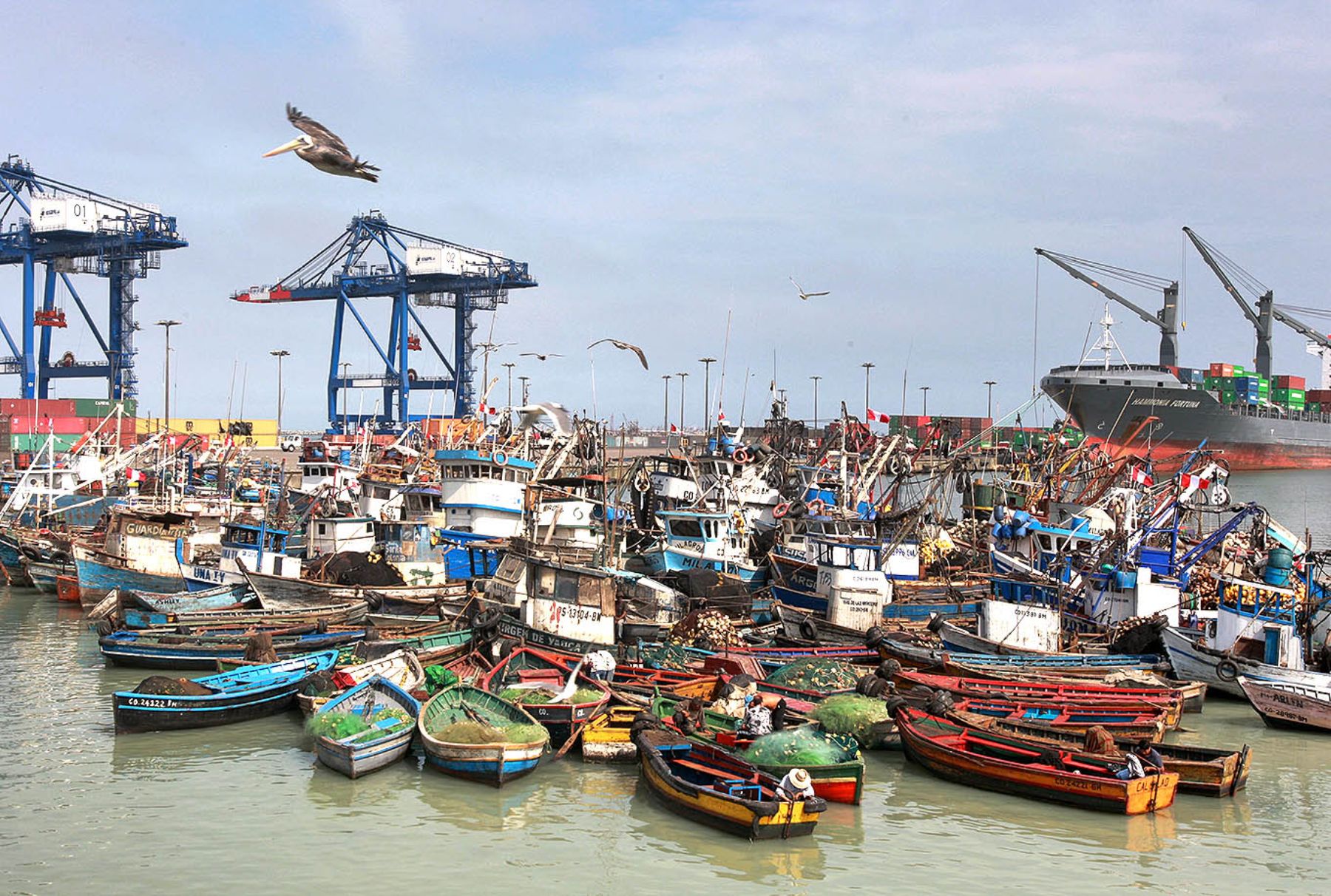 Simplificación de trámites y reducción de costos permitirá formalizar 25 000 pescadores artesanales   