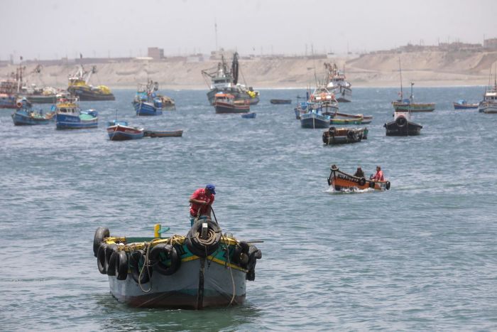 Entregan más de S/ 3,8 millones en créditos a pescadores artesanales y acuicultores en primer trimestre del 2025