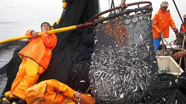 Chimbote: lamentan que por “El Niño” no se haya completado la segunda cuota de pesca 