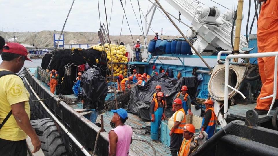 Chimbote: este 23 de noviembre se inicia la segunda temporada de pesca de anchoveta 