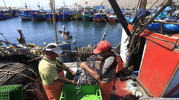 Chimbote: consideran nada alentador segunda temporada de pesca