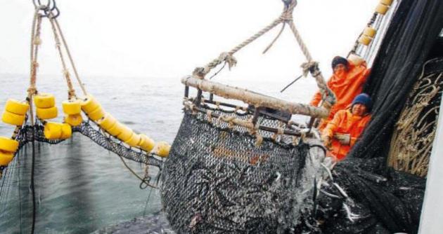 Temporada pesquera se adelantará por el Fenómeno de El Niño