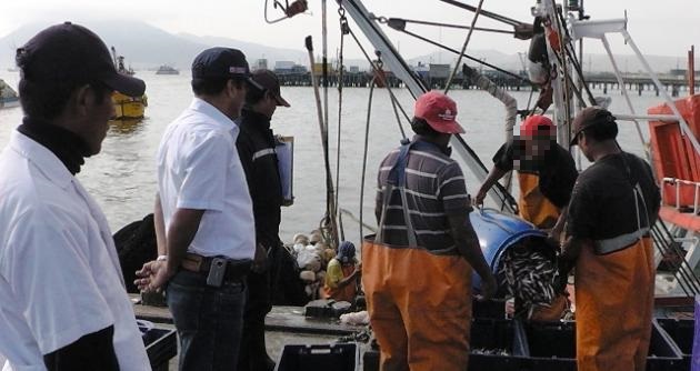 Decomisan 16 mil kilos de anchoveta en el muelle municipal de Chimbote porque pesca se realizó en zona prohibida