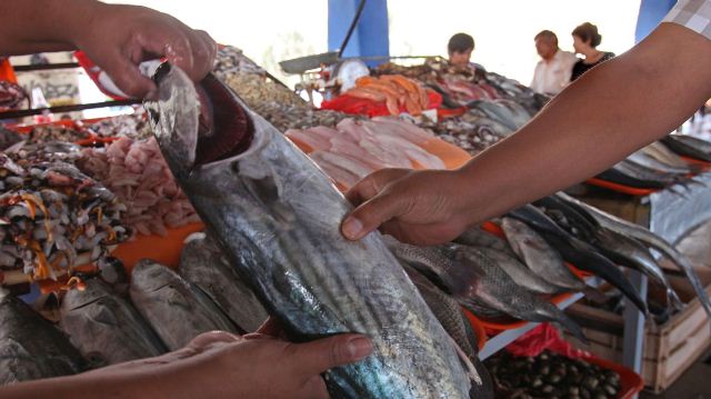 Perú: pesca de consumo humano directo creció 12.5% en el 2013
