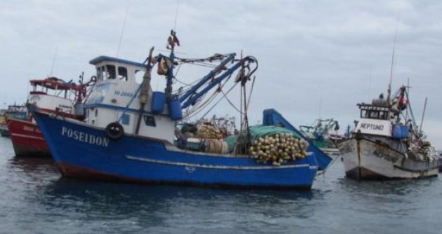 Advierten que captura de especie marina se redujo desde hace tres días en Chimbote