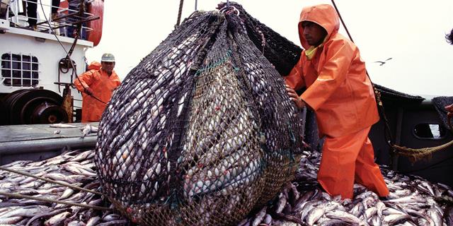 ¿Por qué el Fenómeno de El Niño afecta al agro y la pesca?