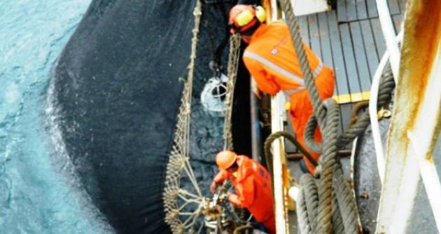 Extender el plazo de pesca dos semanas incrementaría el PBI en un punto