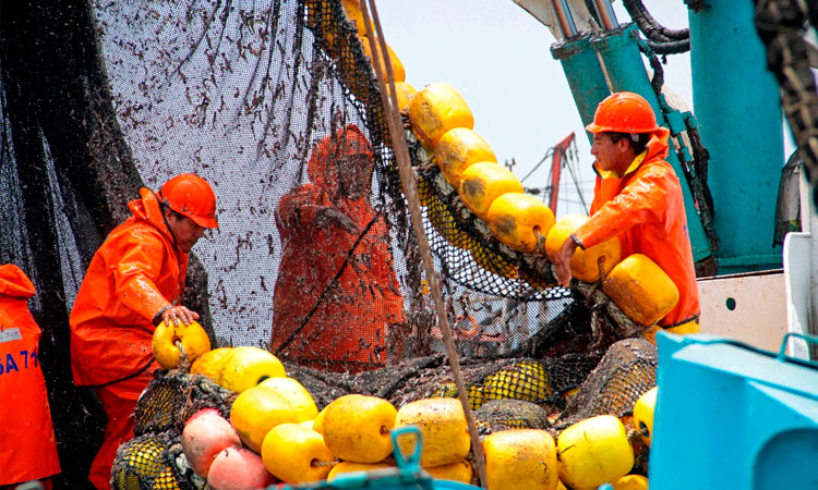 Produce: desembarque pesquero alcanzó 812.8 mil toneladas en noviembre 