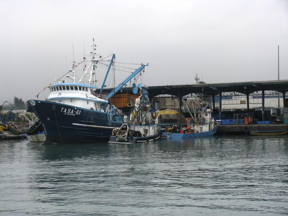Exportación del sector pesca creció más de 90% en primer bimestre del año