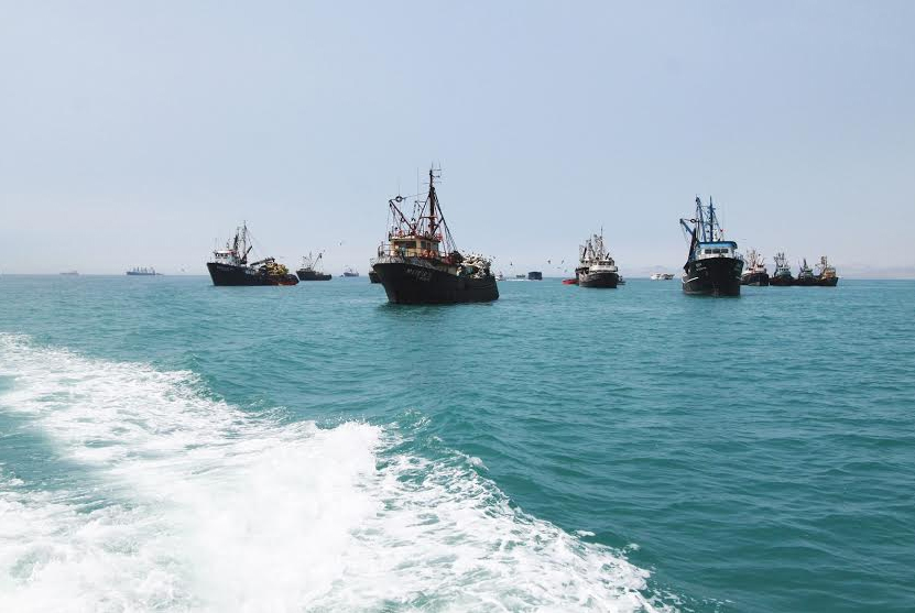 Produce simplifica trámite para inicio de temporadas de pesca de anchoveta