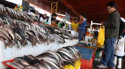 Perú lidera las exportaciones de Perico congelado a Estados Unidos