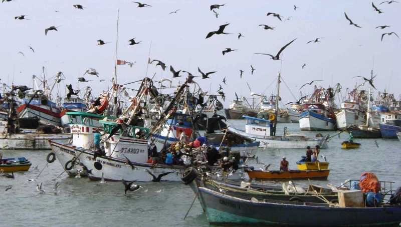 Sólo 139 embarcaciones de la región saldrán a pescar el domingo