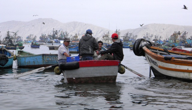 Milagro de “San Pedrito”: 14 pescadores salvan de morir 