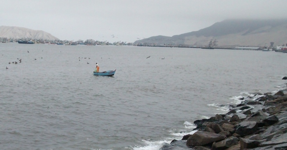 Chimbotanos consumen pescado y mariscos que se extraen de aguas contaminadas