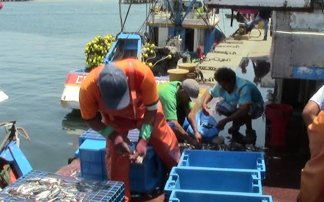 Armadores y pescadores piden no se decrete veda para pesca de consumo humano directo