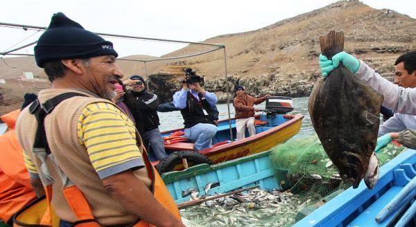 Produce distinguirá  este domingo al “Pescador Artesanal del 2014”