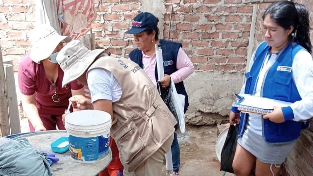 Hallan larvas de zancudo transmisor del dengue en Chimbote y Coishco