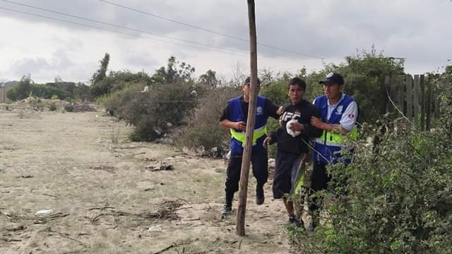 Nuevo Chimbote: ladrones ingresan a vivienda en Garatea pero serenos frustran robo
