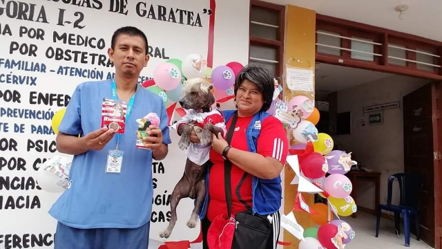 Realizan campaña de vacunación antirrábica canina en Nuevo Chimbote 