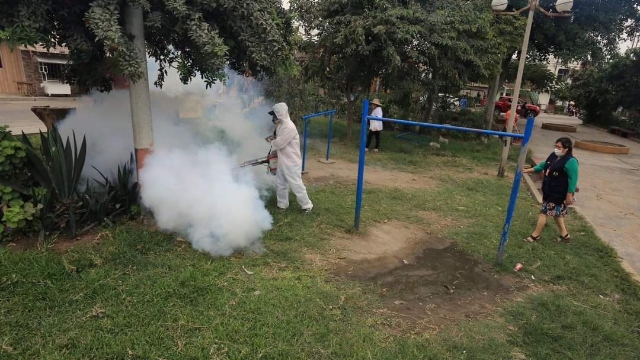 Inician fumigación y control lavario contra el Dengue en Dos de Junio 
