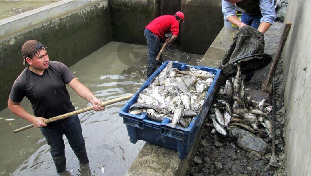  Pallasca: Fiscal Anticorrupción del Santa abre investigación preliminar a alcalde provincial