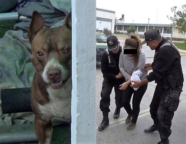Pitbull desconoce a su dueña y la ataca salvajemente en Nuevo Chimbote, mujer fue llevada al hospital