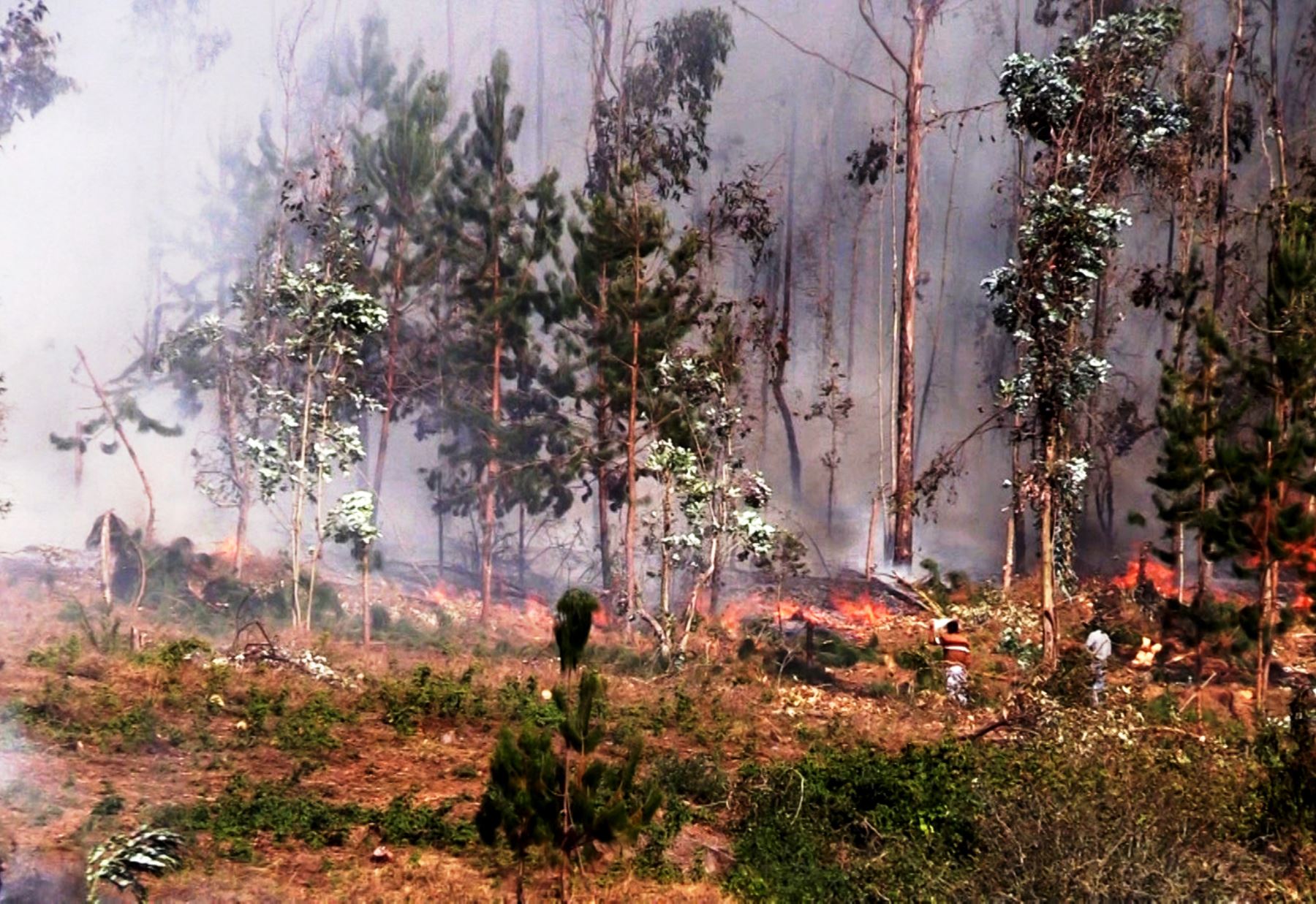 PCM presenta avances en el diseño de planes ante incendios forestales y lluvias intensas