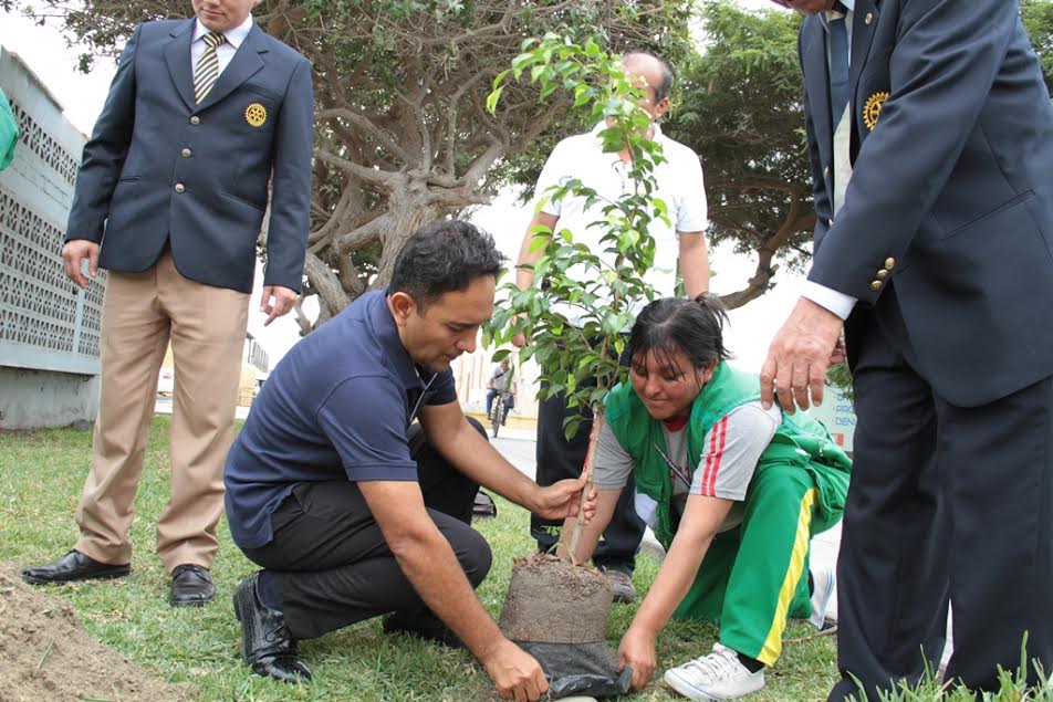 10 mil plantones se sembrarán en todo Nuevo Chimbote