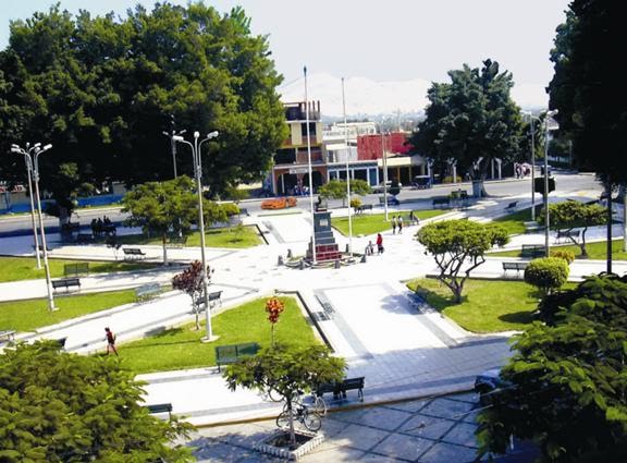 Árboles de más de 100 años de antigüedad de plaza de armas de Casma son tratados por Senasa