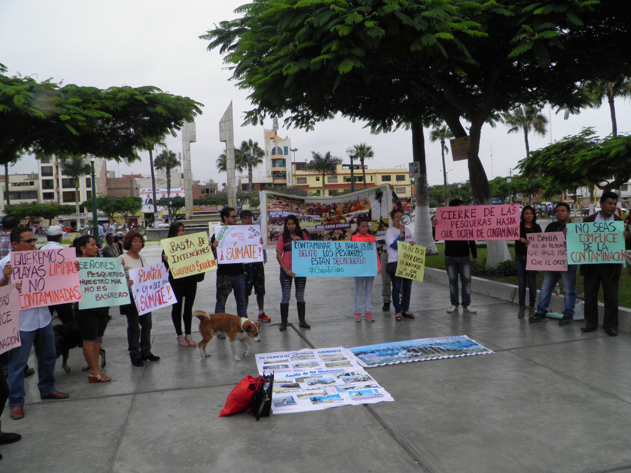 Chimbote: Colectivo ciudadano exige clausura de pesqueras que contaminan la bahía 