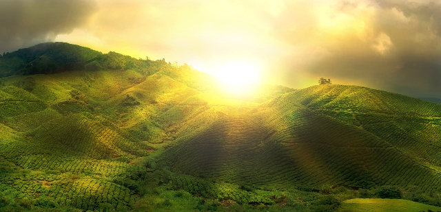 Dios no tiene pasado ni futuro, simplemente es