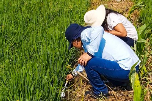 Provincia del Santa: intensifican acciones de prevención contra el dengue y la malaria en el valle