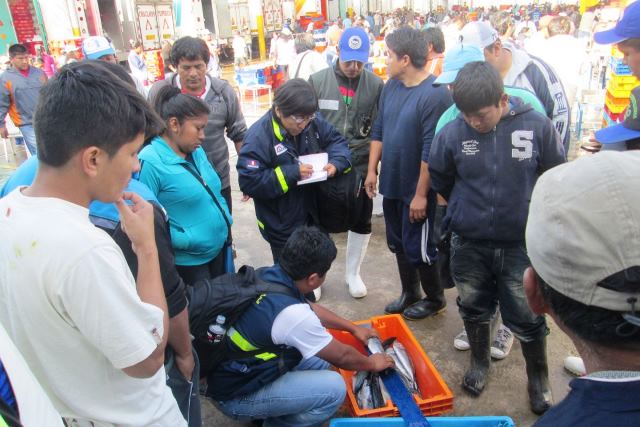 Decomisan 49 toneladas de recursos marinos en diversas regiones del país