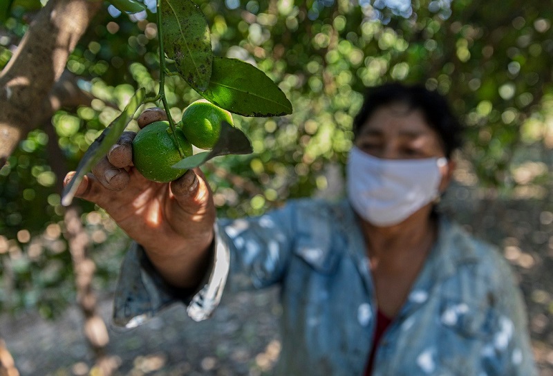 Unos 83 mil pequeños productores agropecuarios serán beneficiados con créditos a tasas más bajas del sector