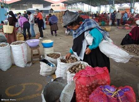 Chimbote: alimentos con ligero incremento en mercados por “El Niño”