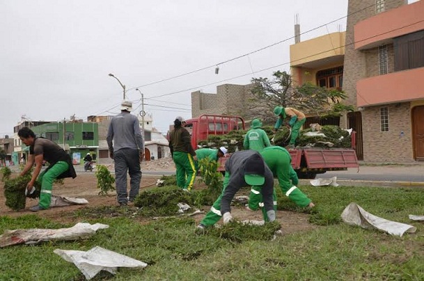 Comuna desarrolla el programa "Nuevo Chimbote se pone verde"