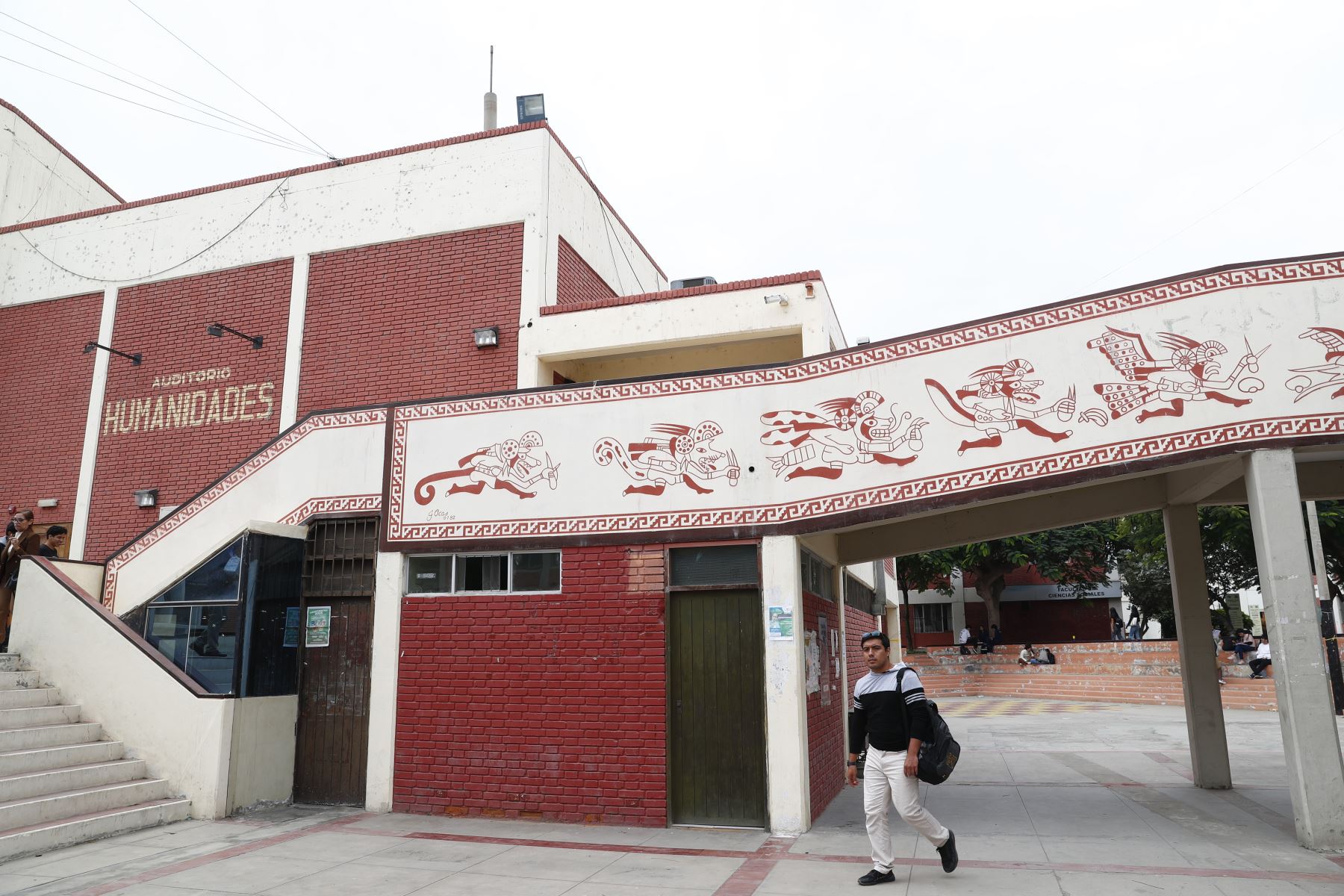 Proponen reelección de rectores y vicerrectores de universidades