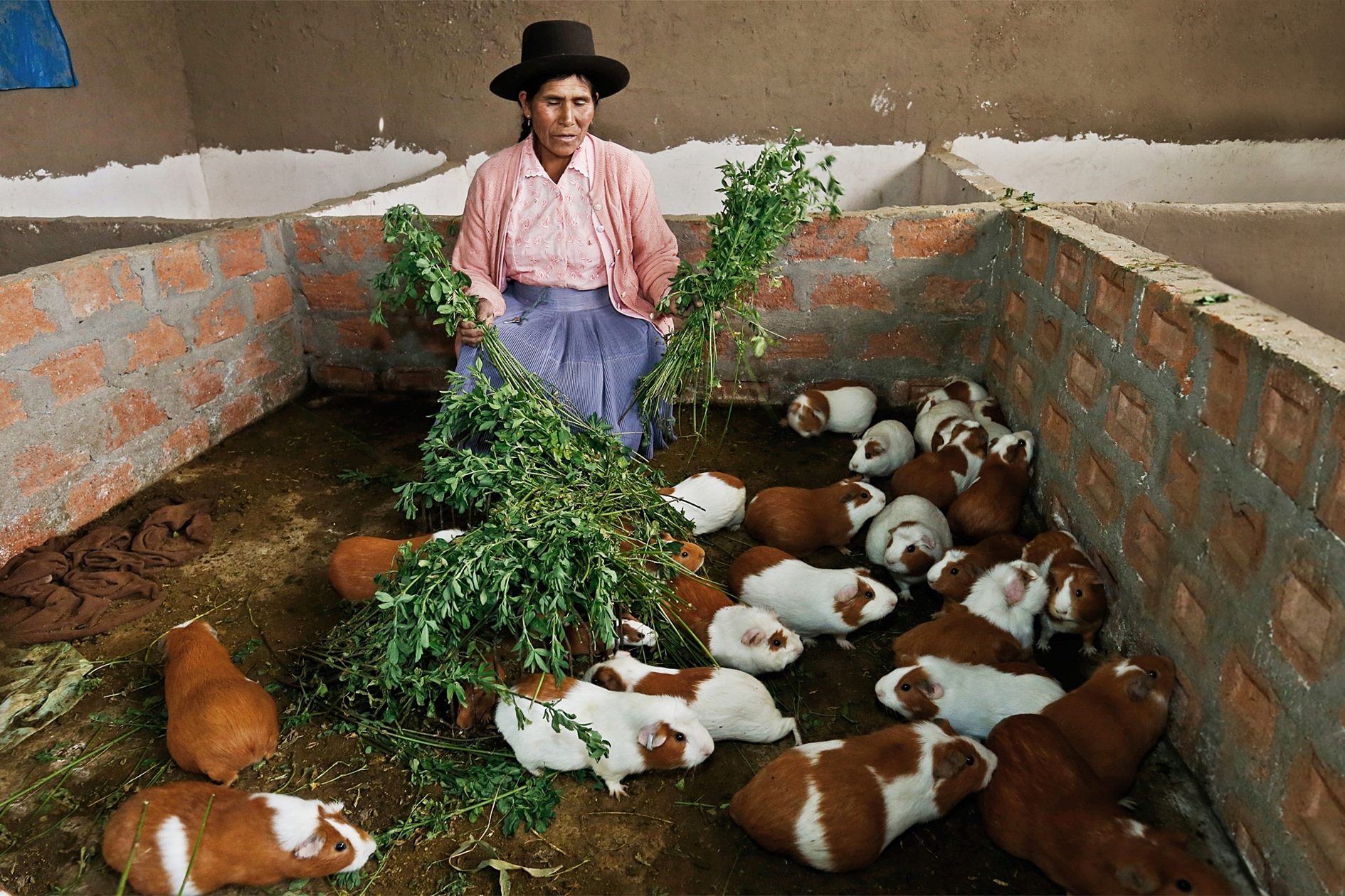 En 26 años Foncodes financió 60 mil proyectos en zonas rurales de todo el país