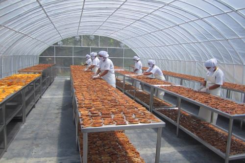 Produce invirtió S/ 95 millones para financiar más de 1,070 proyectos de innovación