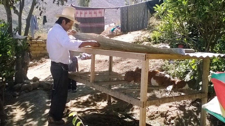 Áncash: 914 familias de Quillo emprendieron pequeños negocios   