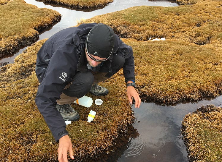 Humedales altoandinos muestran cambios como consecuencia del cambio climático