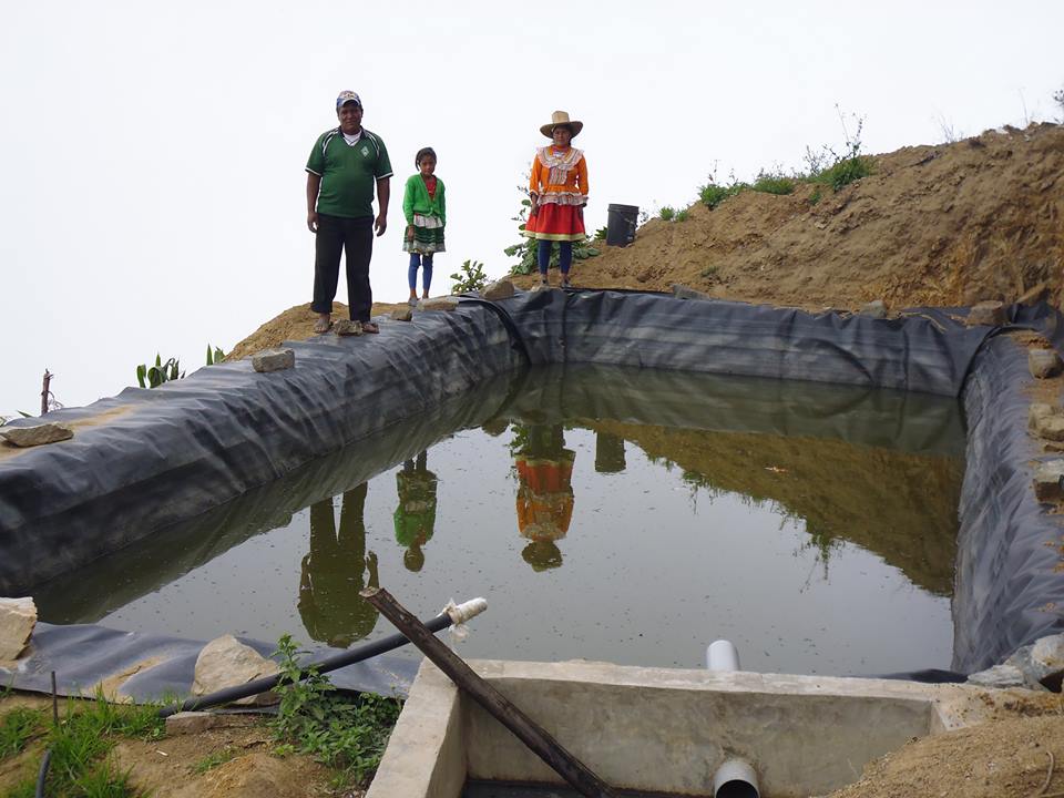 Áncash: unas 914 familias del distrito Quillo fueron beneficiadas con proyectos productivos 