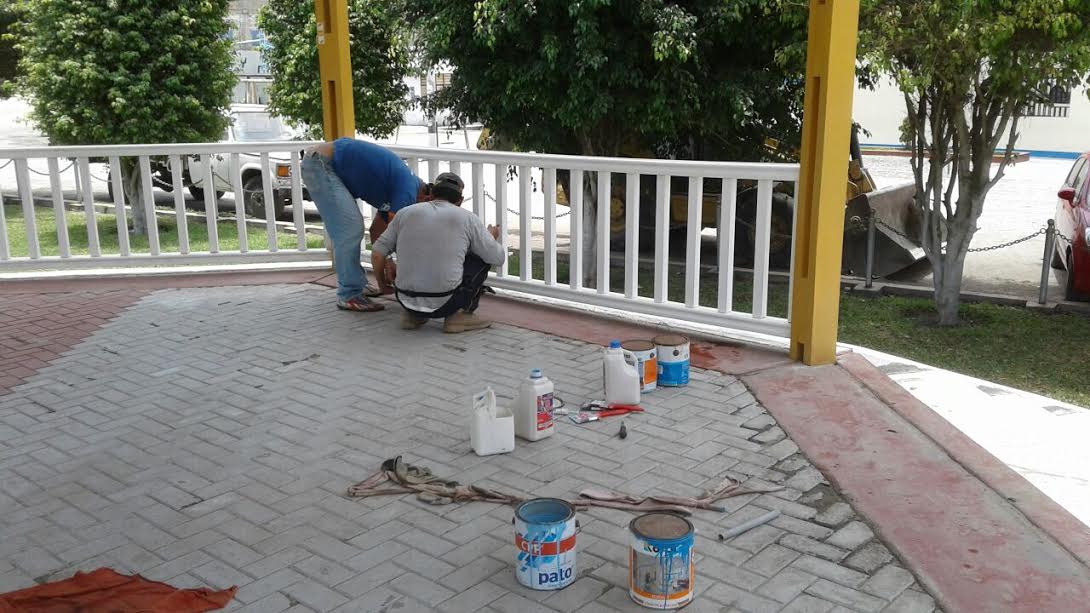 Nuevo Chimbote: Municipio realiza mantenimiento de los parques del distrito